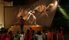 14-venezia-per-i-bambini-museo-di-storia-naturale