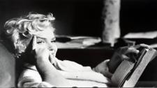 elliotterwitt