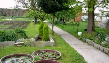 15-isola-della-giudecca-giardini