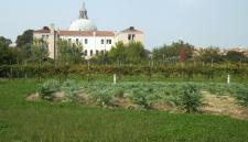 16-isola-della-giudecca-orti