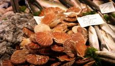 04-capesante-al-mercato-di-rialto